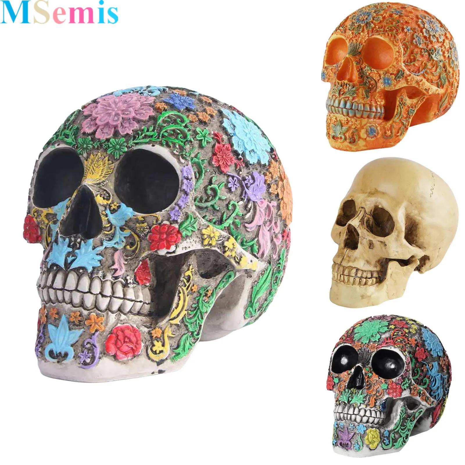 실물 크기 두개골 레진 인간 두개골 모형 성인 두개골  - Head Racket Boom 리뷰 및 가격